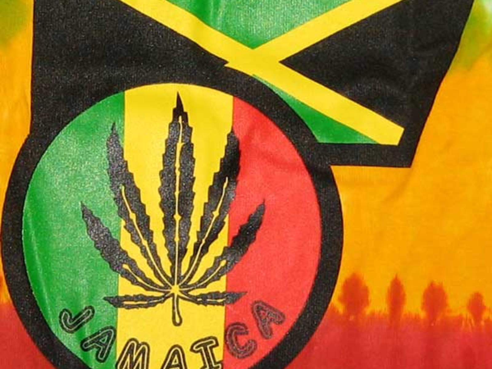 Jamaicas Rastas Ready For Ganja Decriminalisation