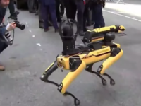 NYPD Crime Fighting Robot Dog ‘Digidog’ Unveiled – Watch Video