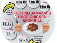 Jamaica Import Record $2.7 billion Of Chicken Back Last Year