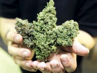 Changes to ganja law to come into effect on Wednesday