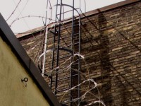 Man climbs prison walls, hands ganja to inmates