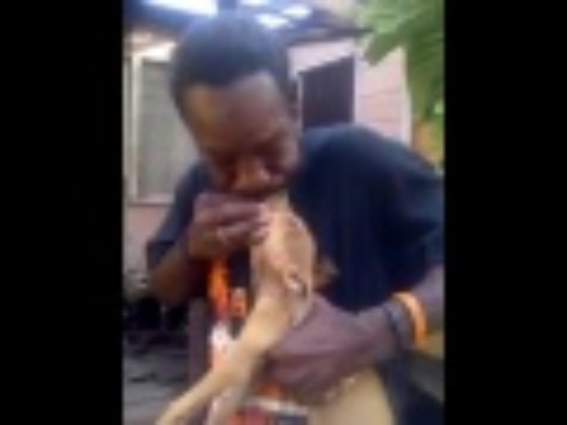 Jamaican Man Try Saving Dog By Performing (CPR)……[MUST WATCH!!!]