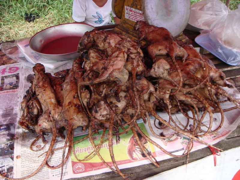 Rat Meat Being Sold in United States As ‘BONELESS CHICKEN WINGS’