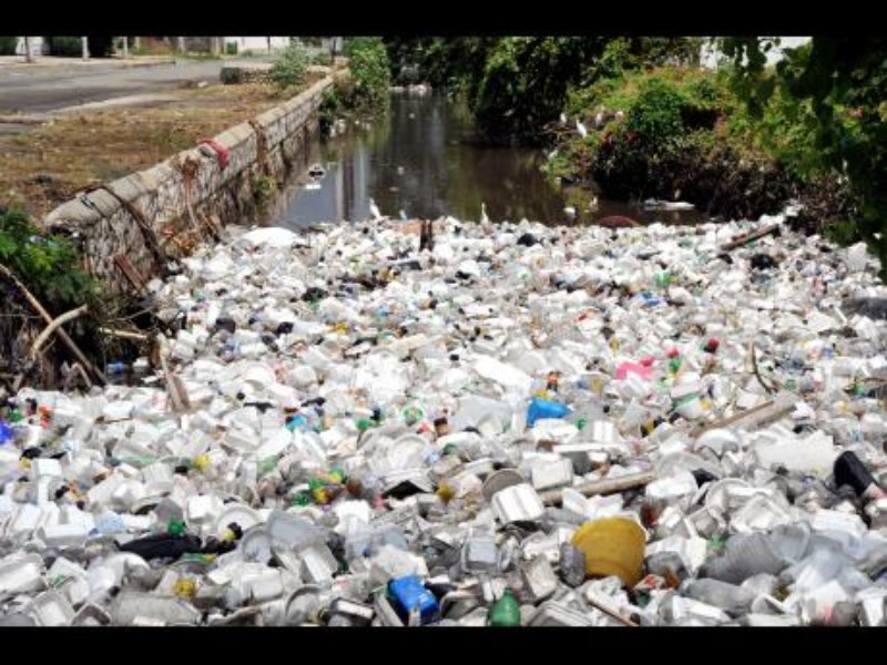 Guyana Bans Styrofoam Imports