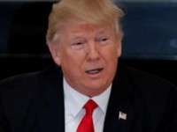 Federal judge puts a halt on Trump’s immigration ban